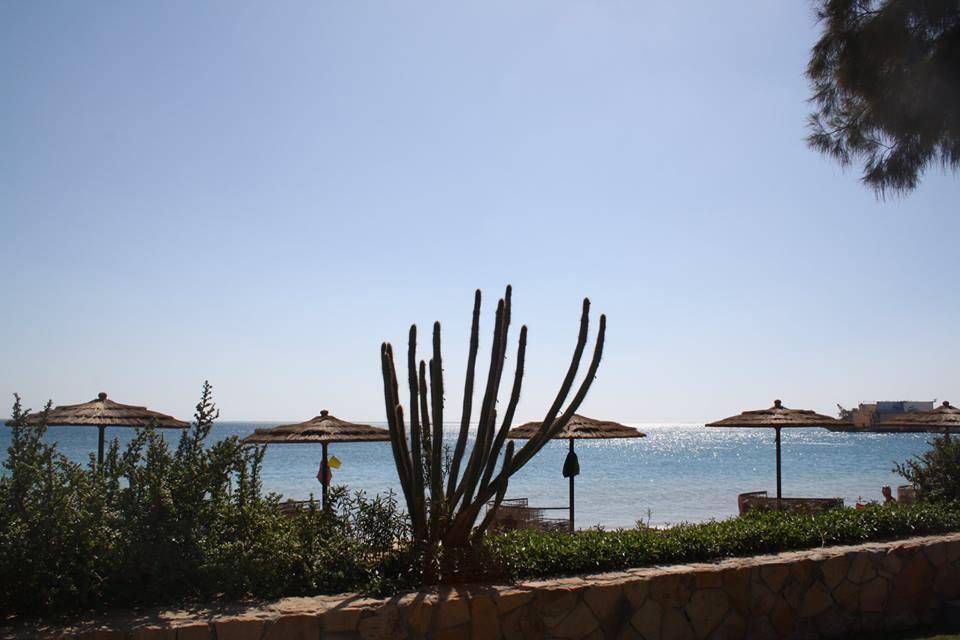 Esplanada Beach Apartment Hurghada Eksteriør billede